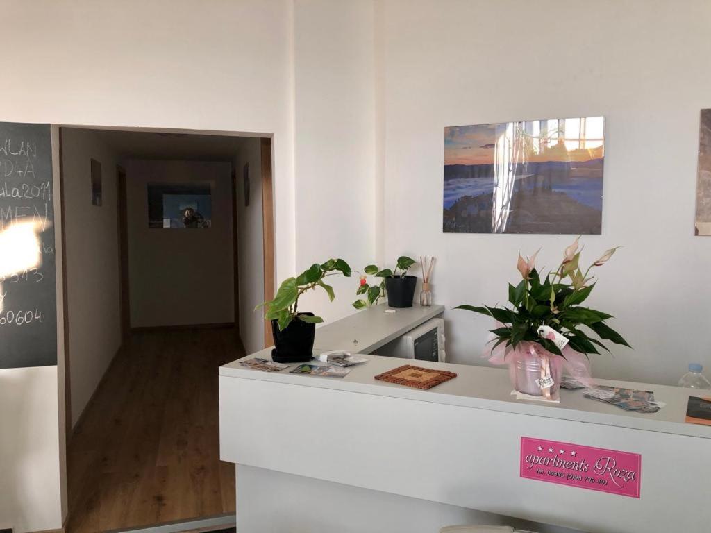 Apartmani Roza بولا المظهر الخارجي الصورة